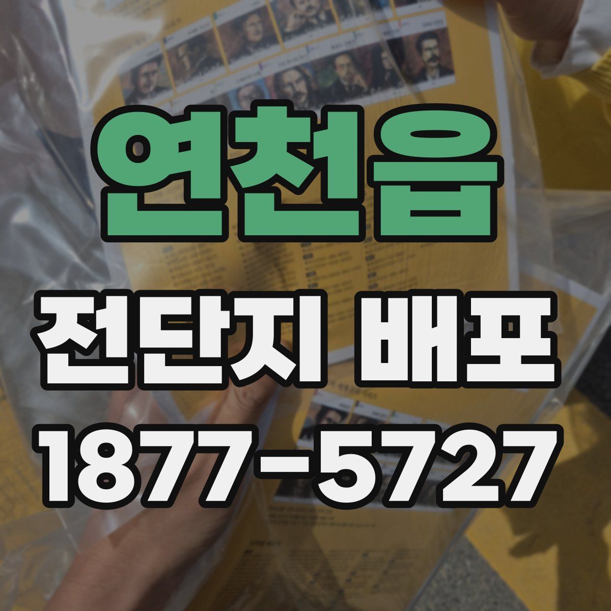 연천읍 전단지 배포