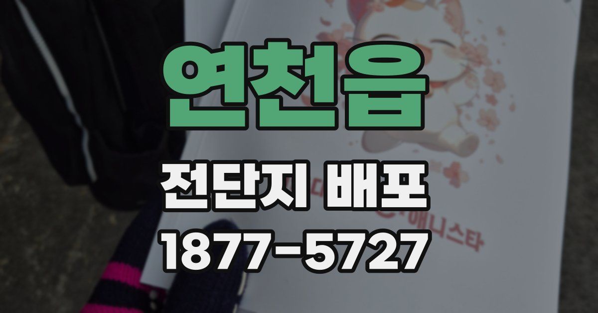 연천읍 전단지 배포