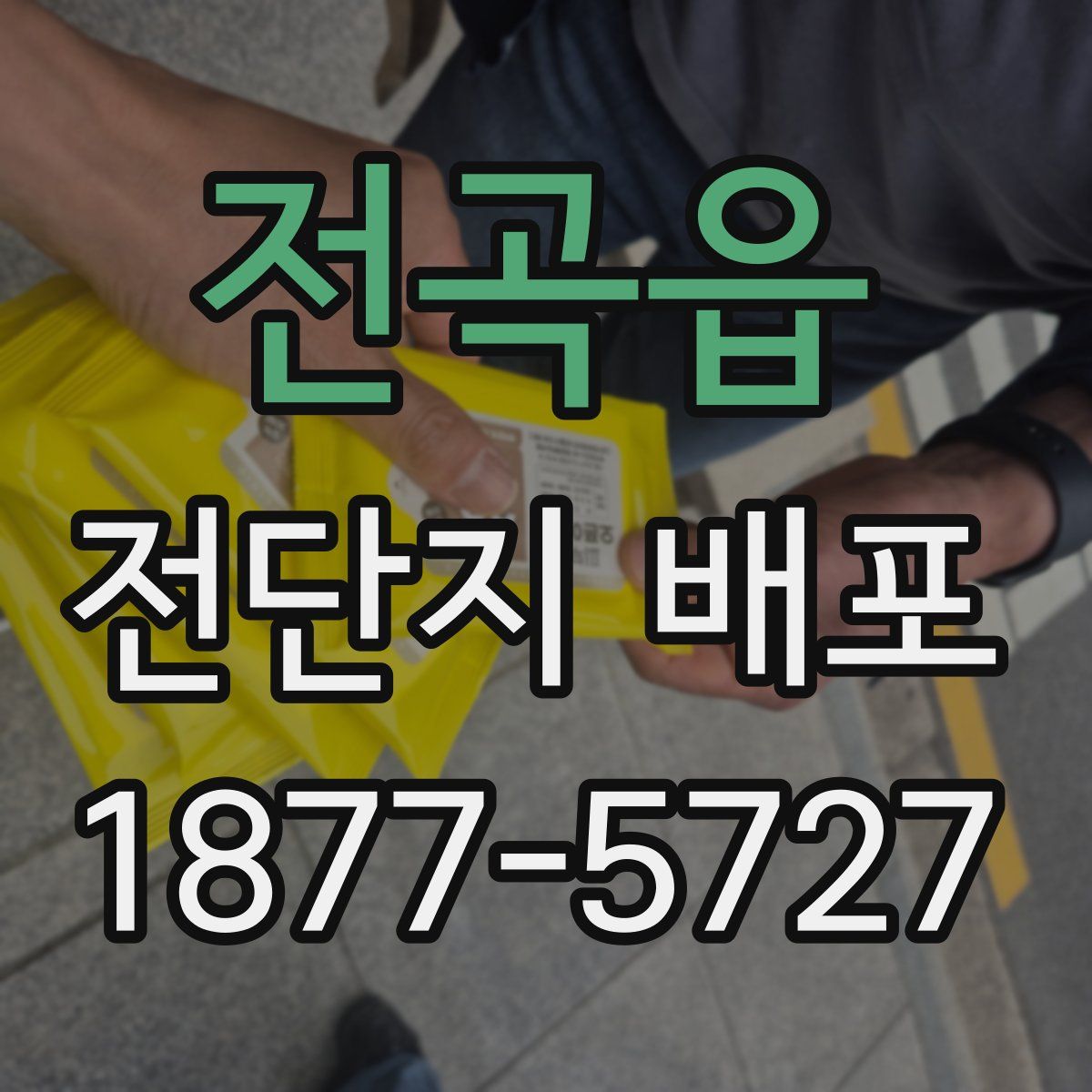 전곡읍 전단지 배포