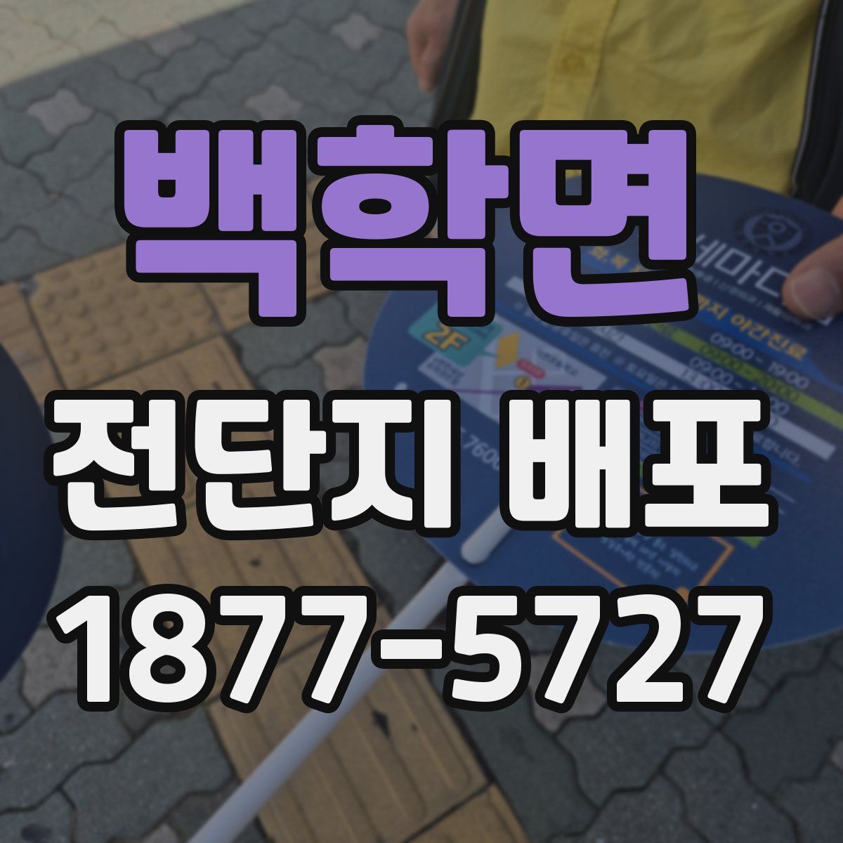 백학면 전단지 배포