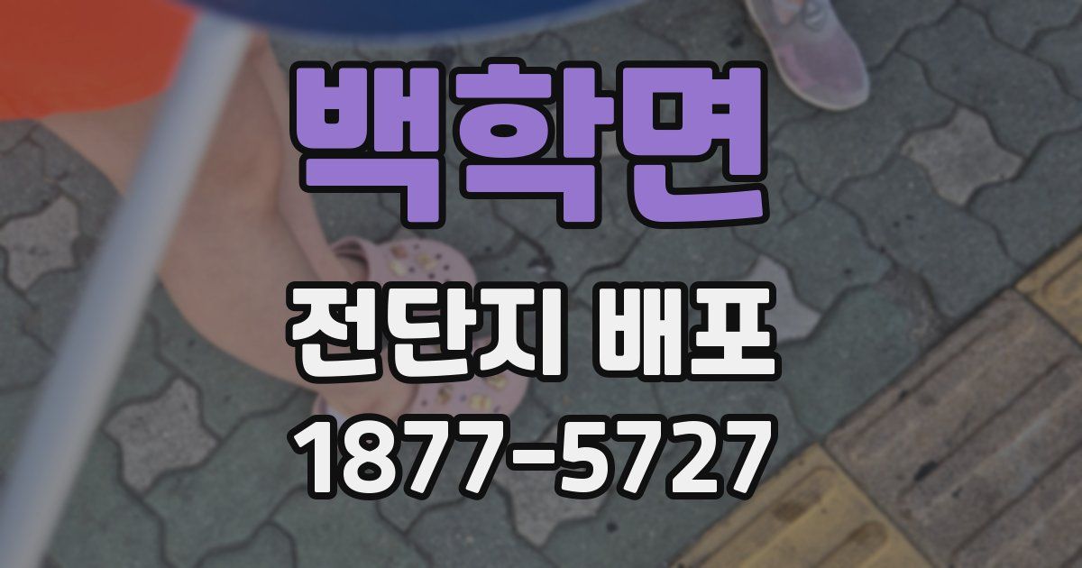 백학면 전단지 배포