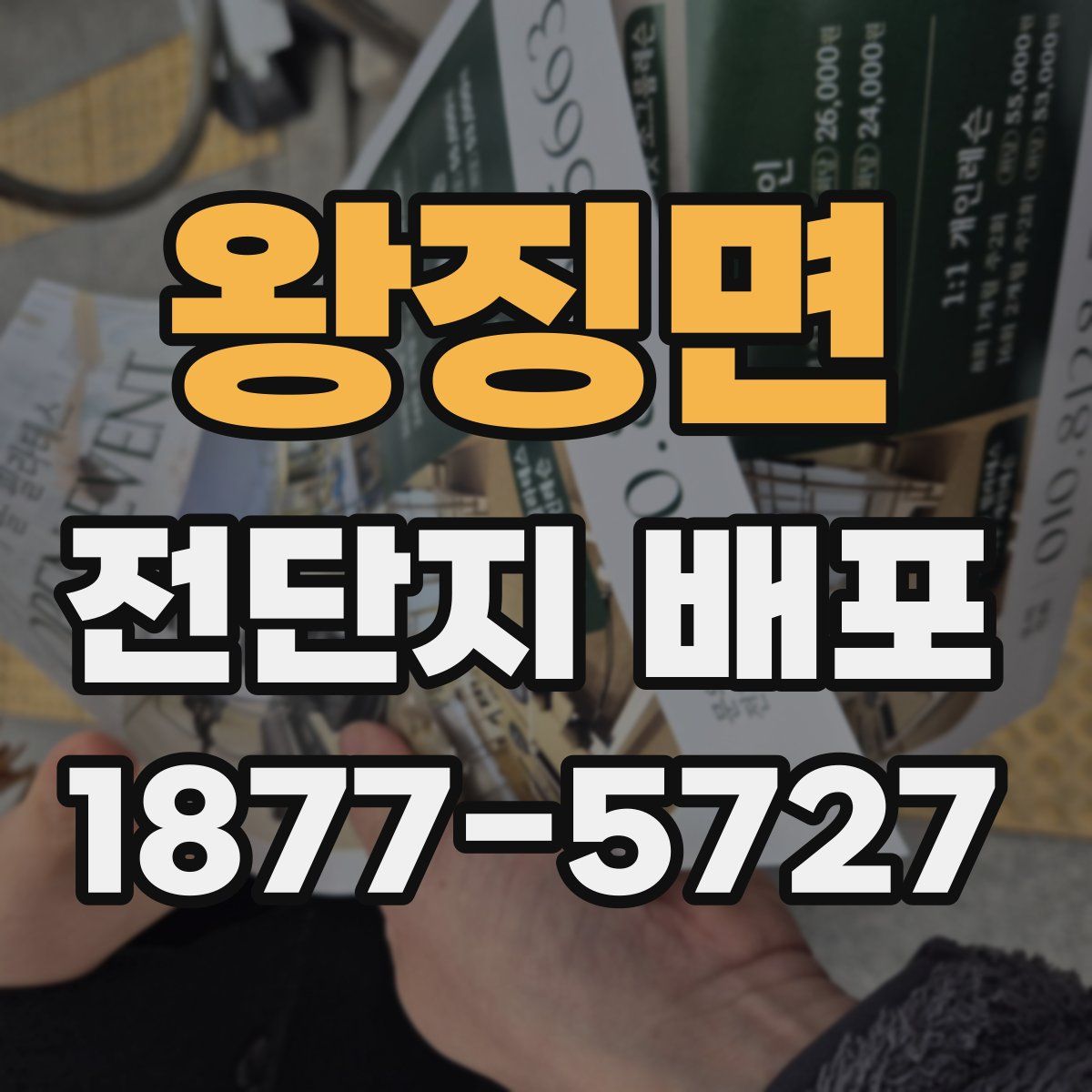 왕징면 전단지 배포