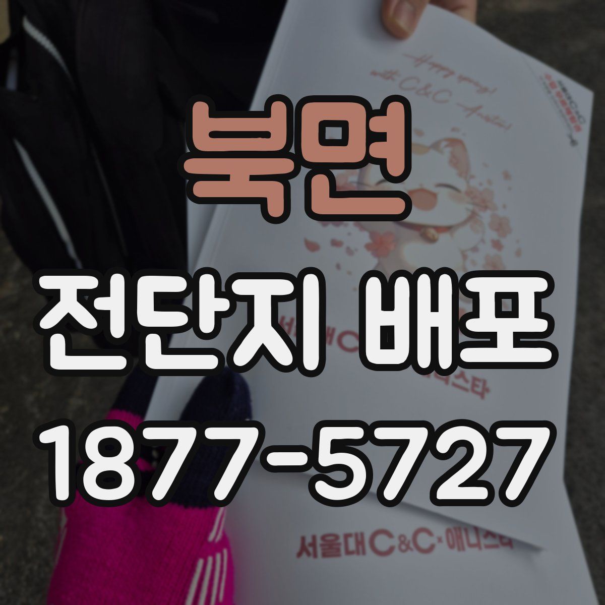 북면 전단지 배포