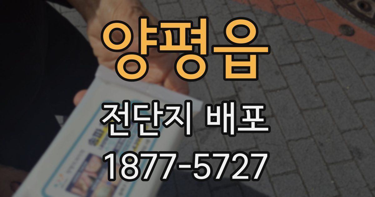 양평읍 전단지 배포