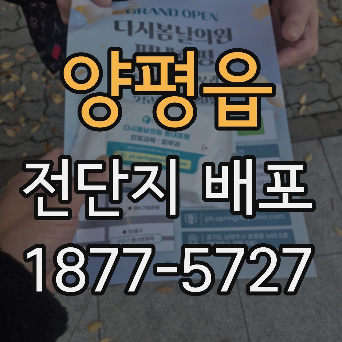 양평읍 전단지 배포