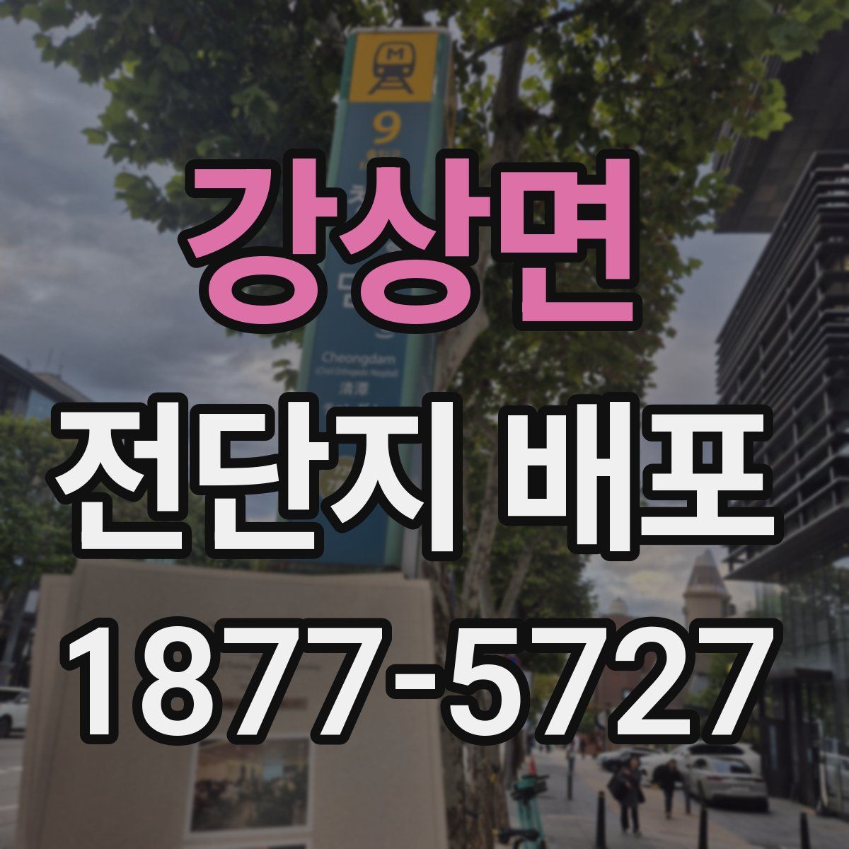 강상면 전단지 배포
