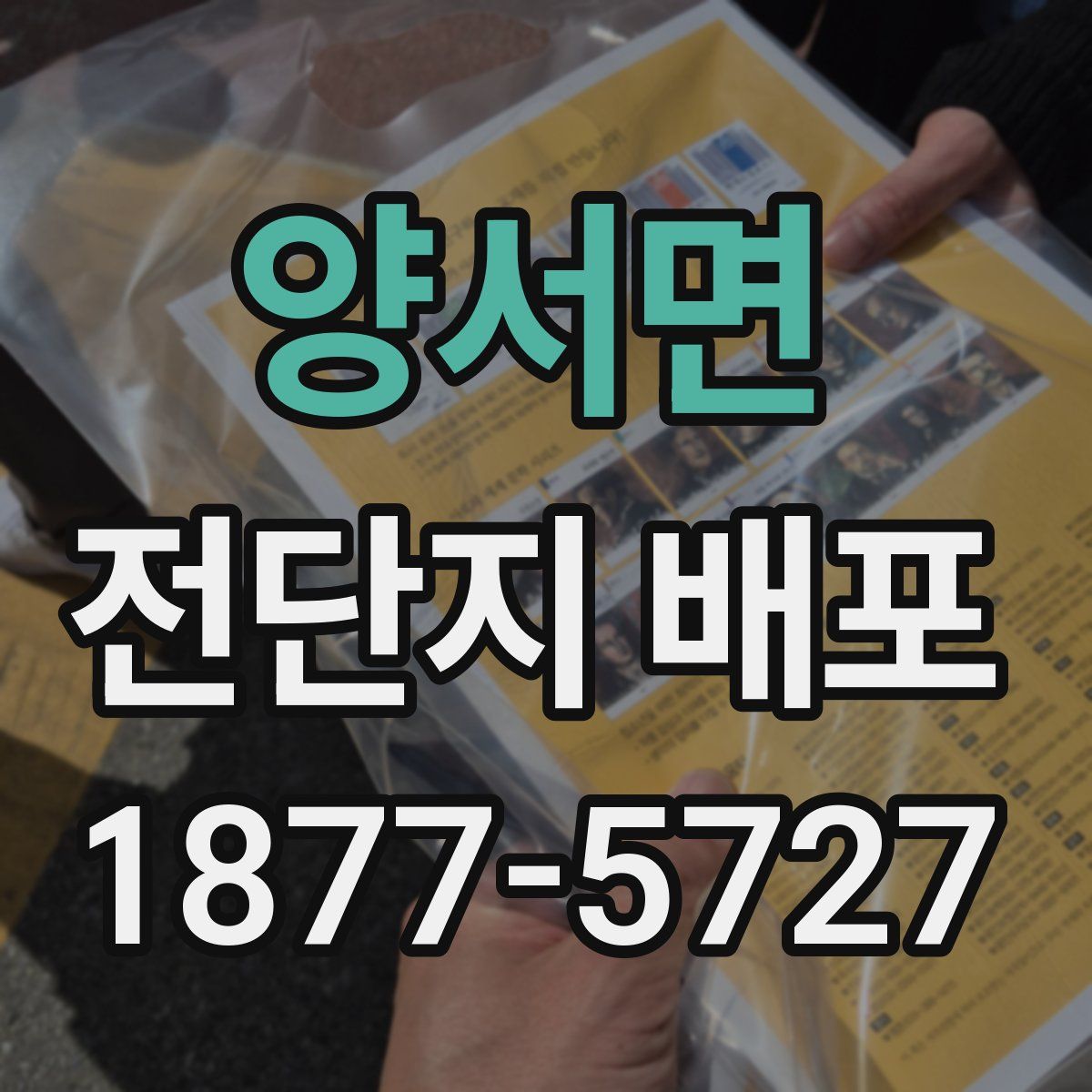 양서면 전단지 배포