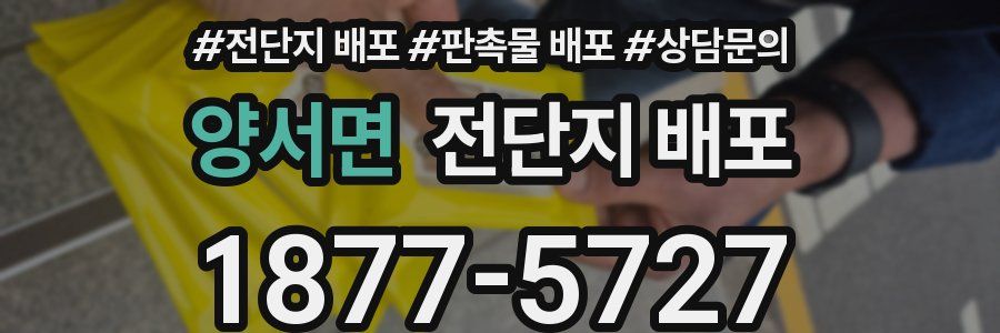 양서면 전단지 배포