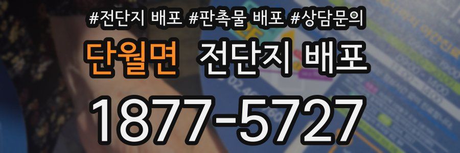 단월면 전단지 배포