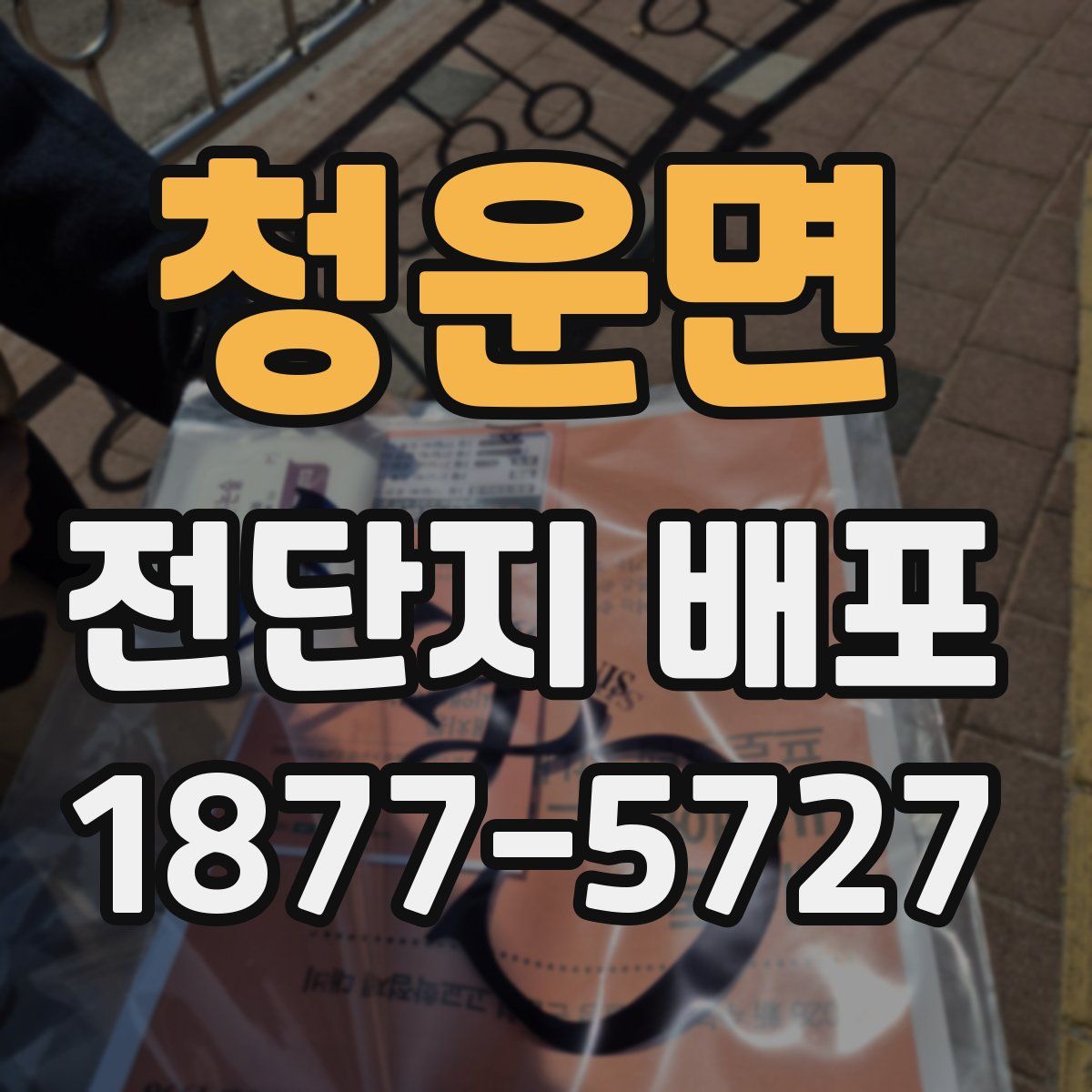 청운면 전단지 배포