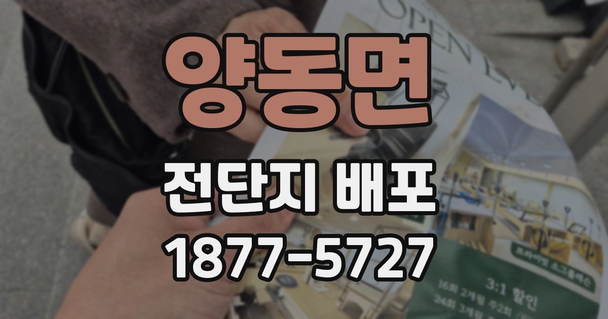 양동면 전단지 배포
