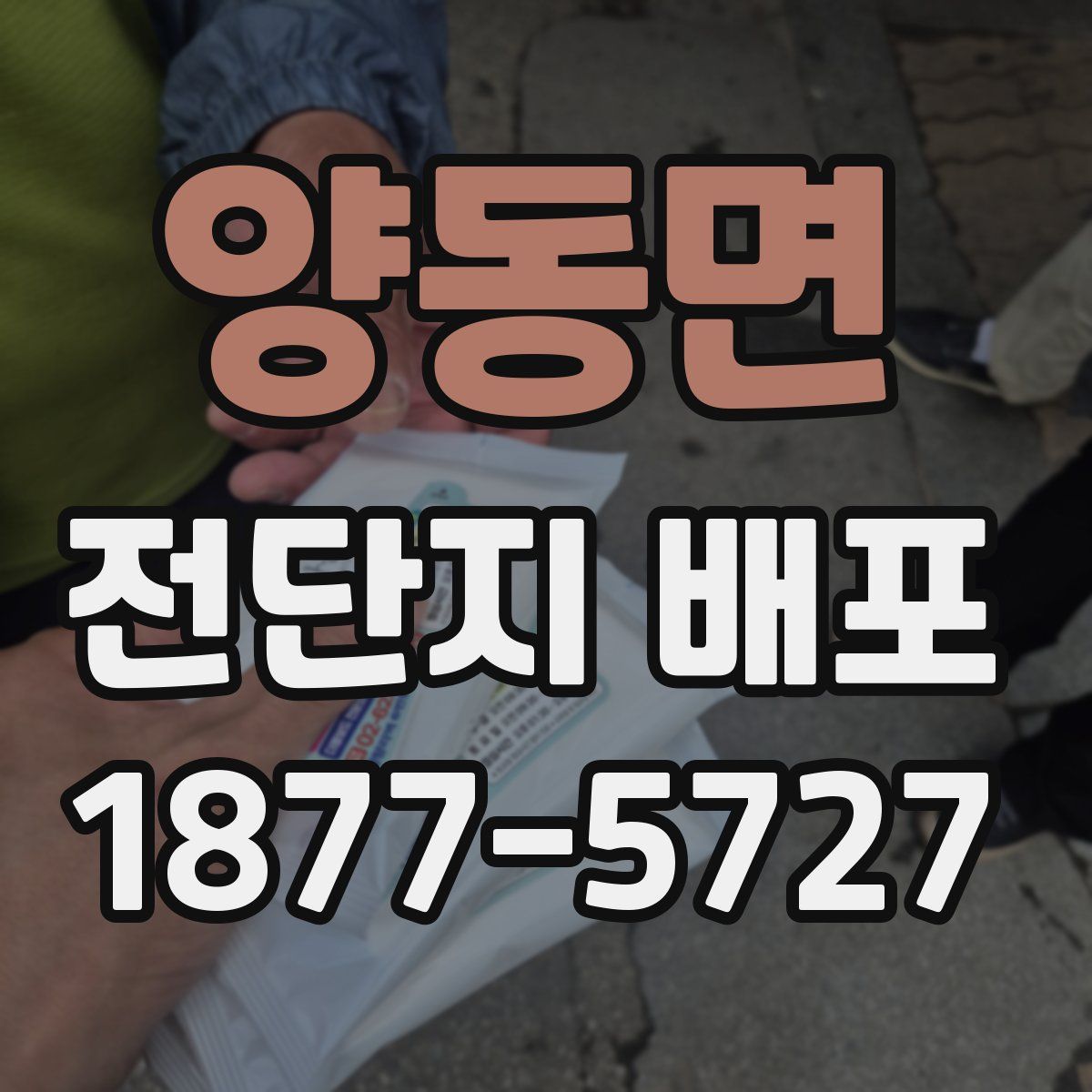 양동면 전단지 배포