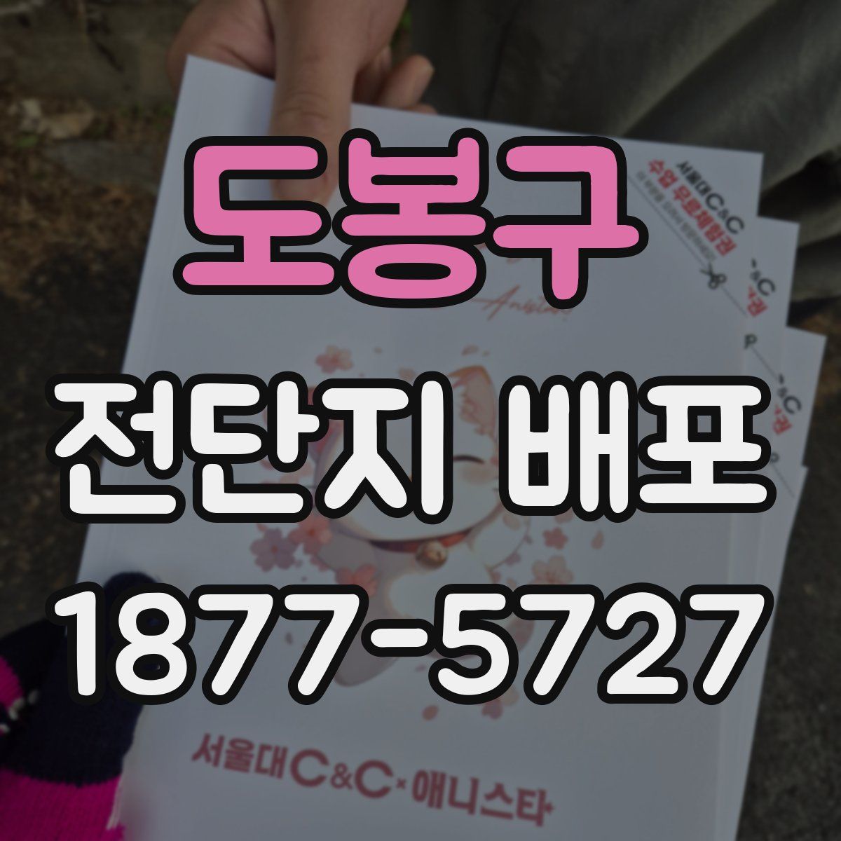 도봉구 전단지 배포