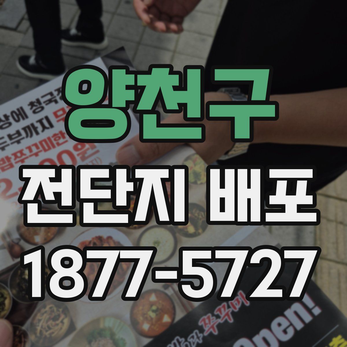 양천구 전단지 배포