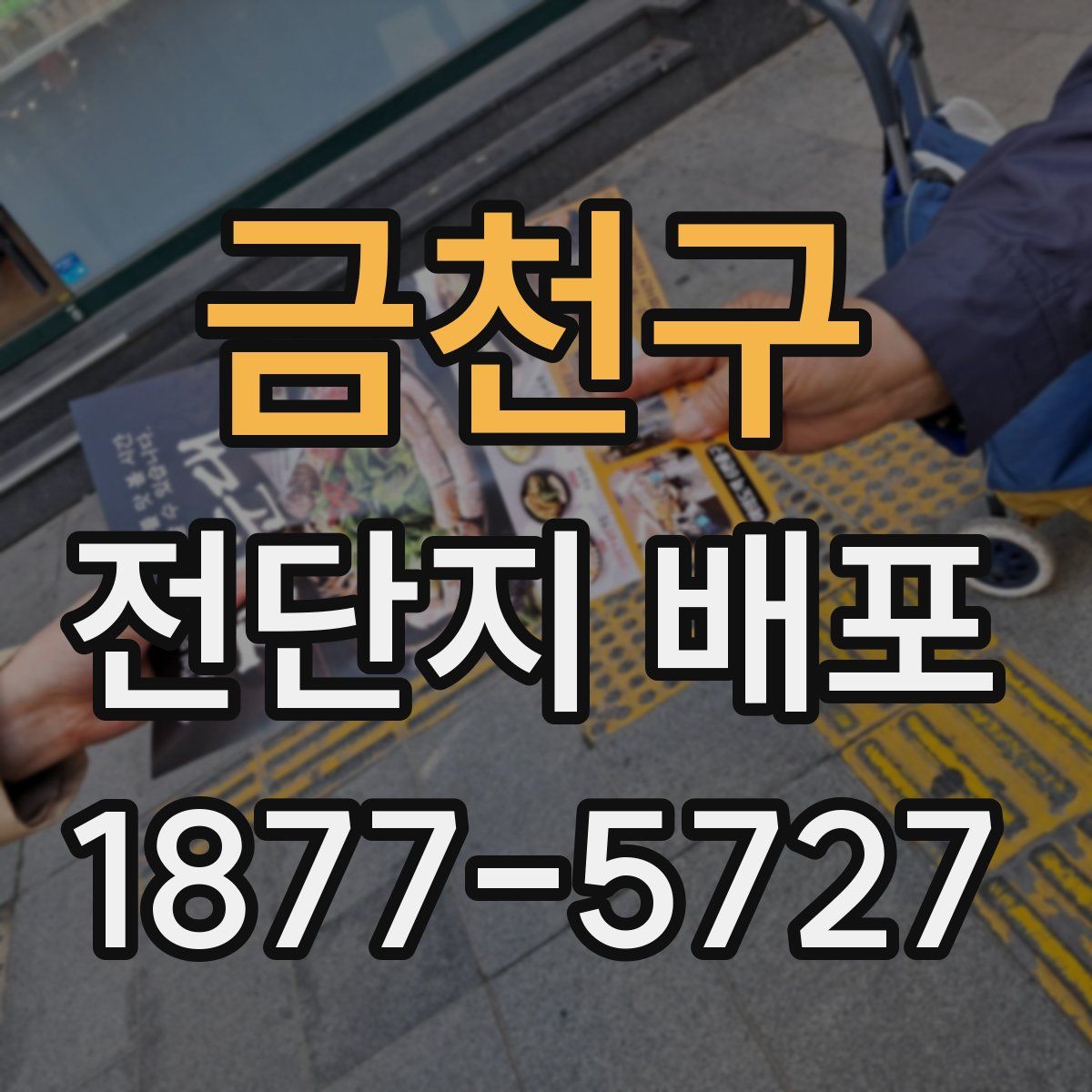 금천구 전단지 배포