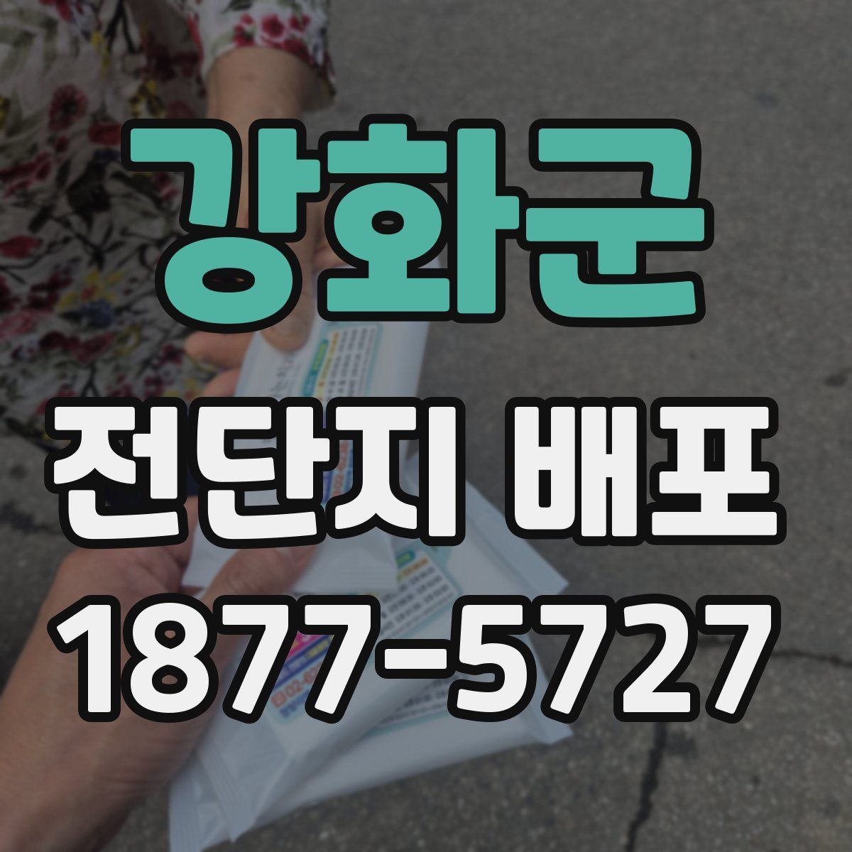 강화군 전단지 배포