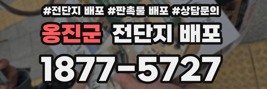 옹진군 전단지 배포