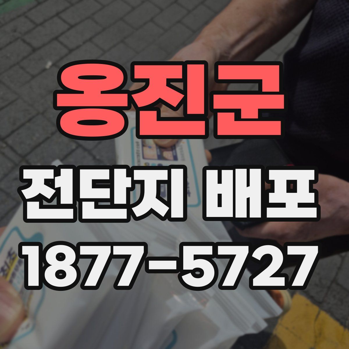 옹진군 전단지 배포
