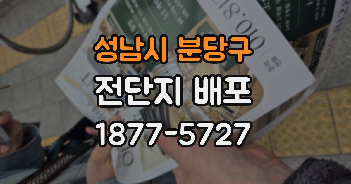 성남시 분당구 전단지 배포