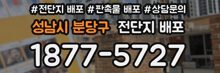 성남시 분당구 전단지 배포