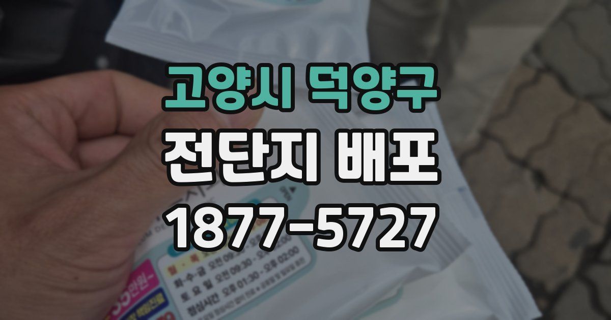 고양시 덕양구 전단지 배포