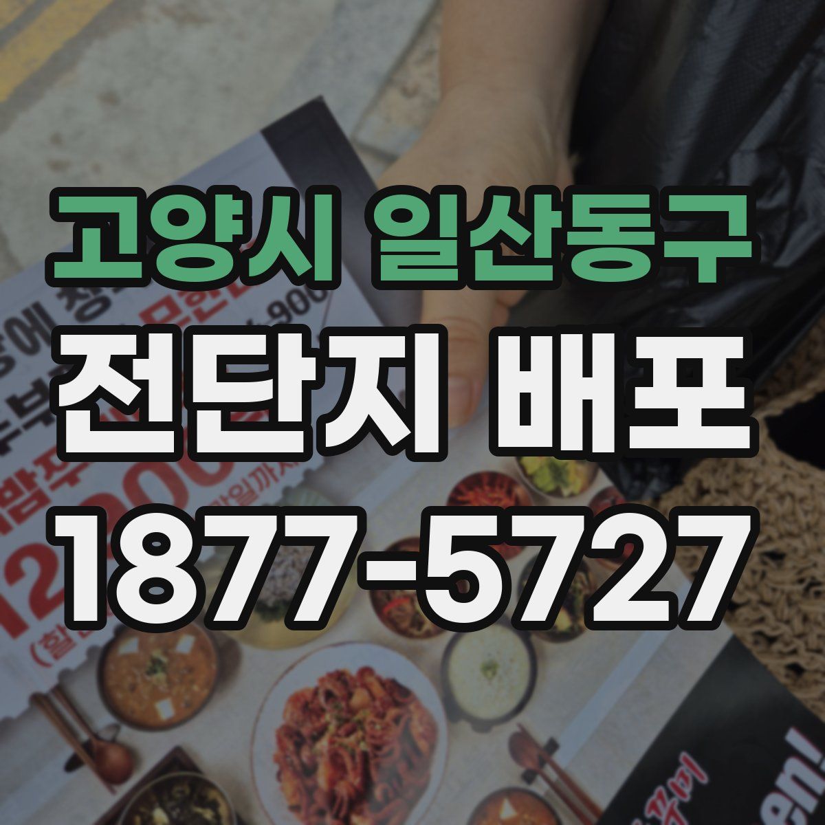 고양시 일산동구 전단지 배포