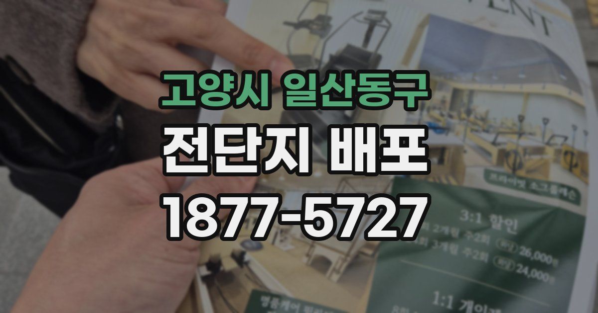 고양시 일산동구 전단지 배포