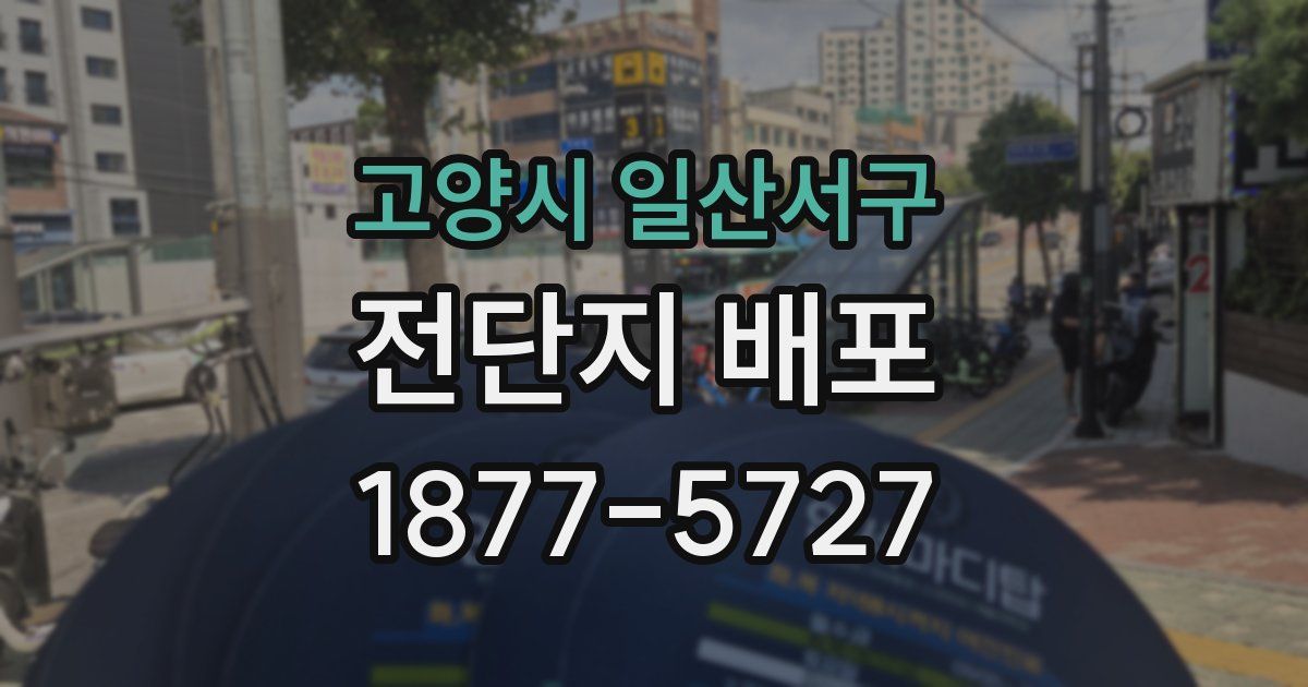 고양시 일산서구 전단지 배포