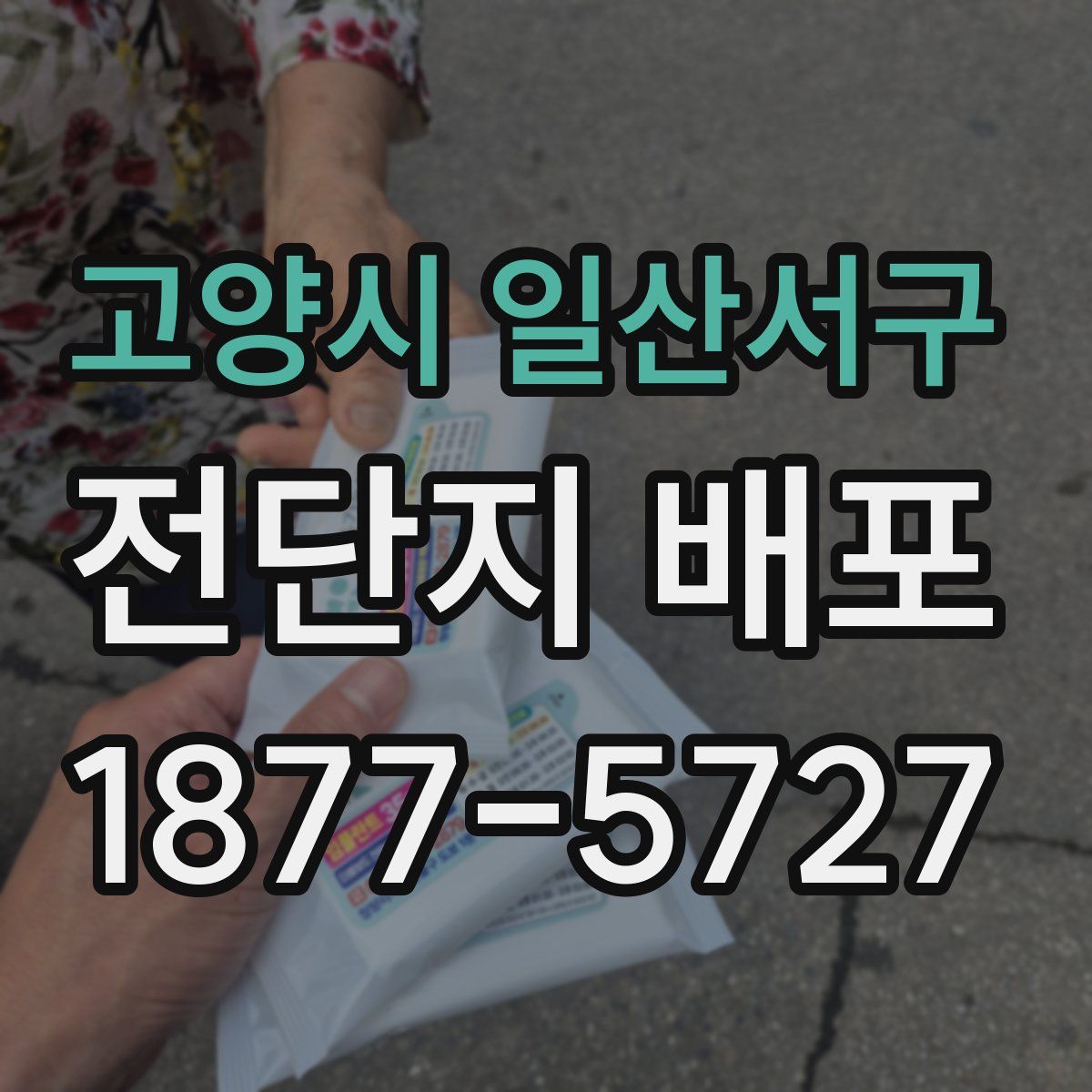 고양시 일산서구 전단지 배포