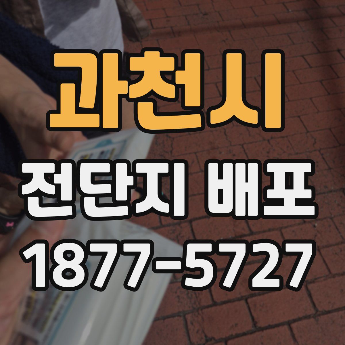 과천시 전단지 배포