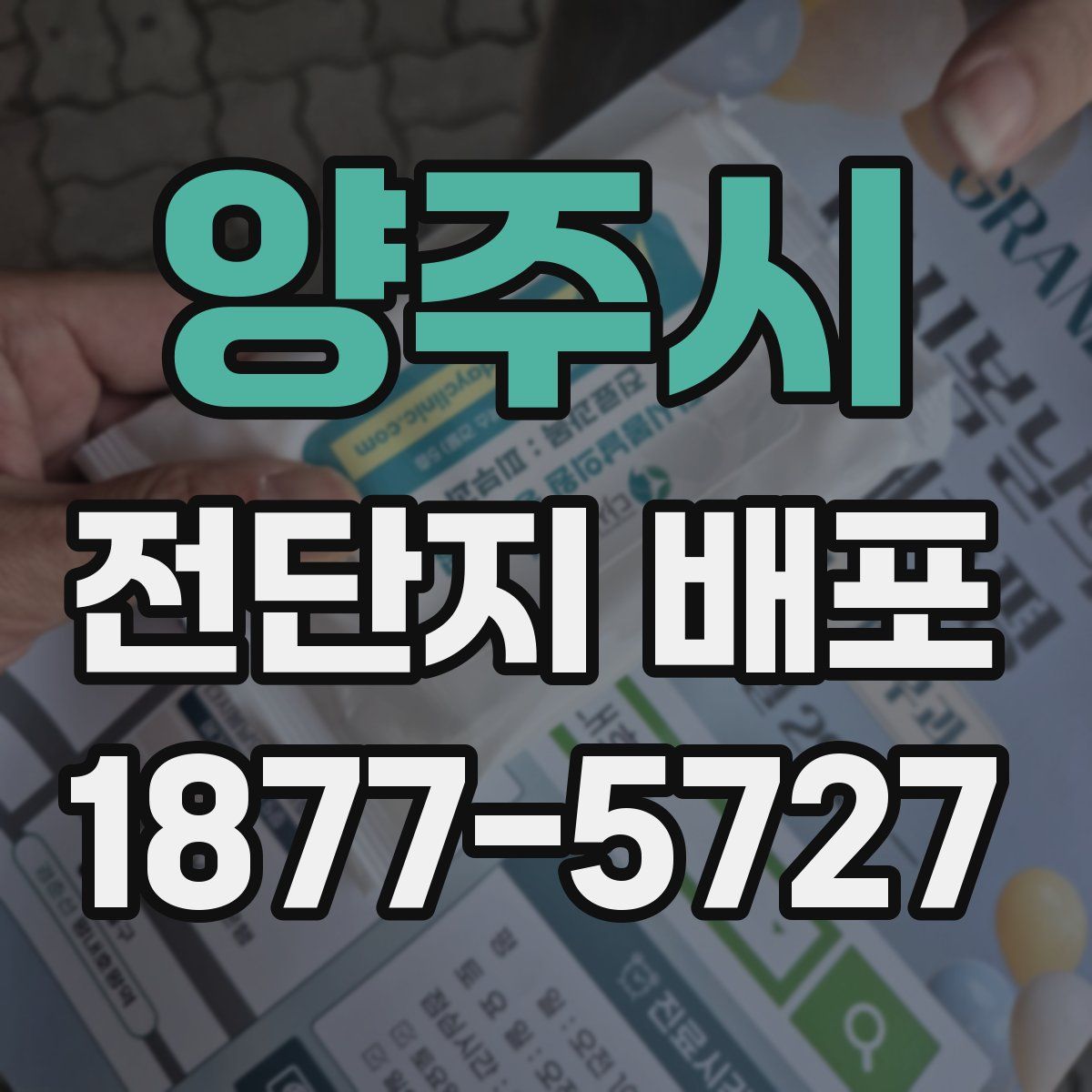 양주시 전단지 배포