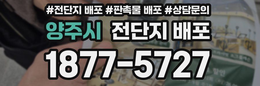 양주시 전단지 배포
