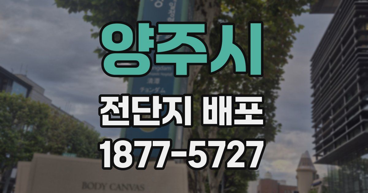 양주시 전단지 배포