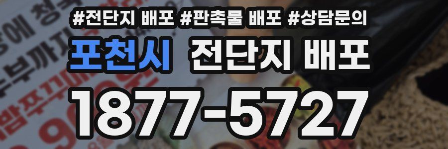 포천시 전단지 배포
