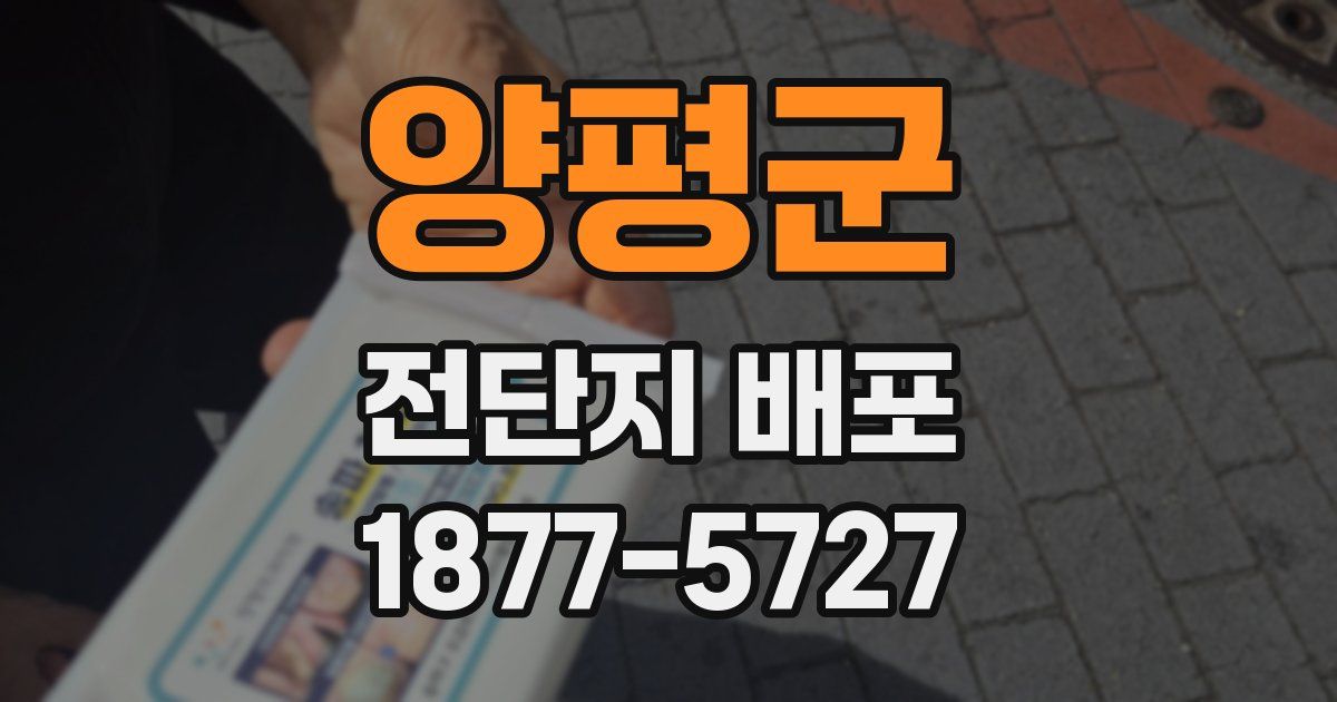 양평군 전단지 배포
