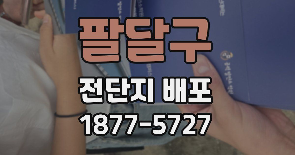 팔달구 전단지 배포
