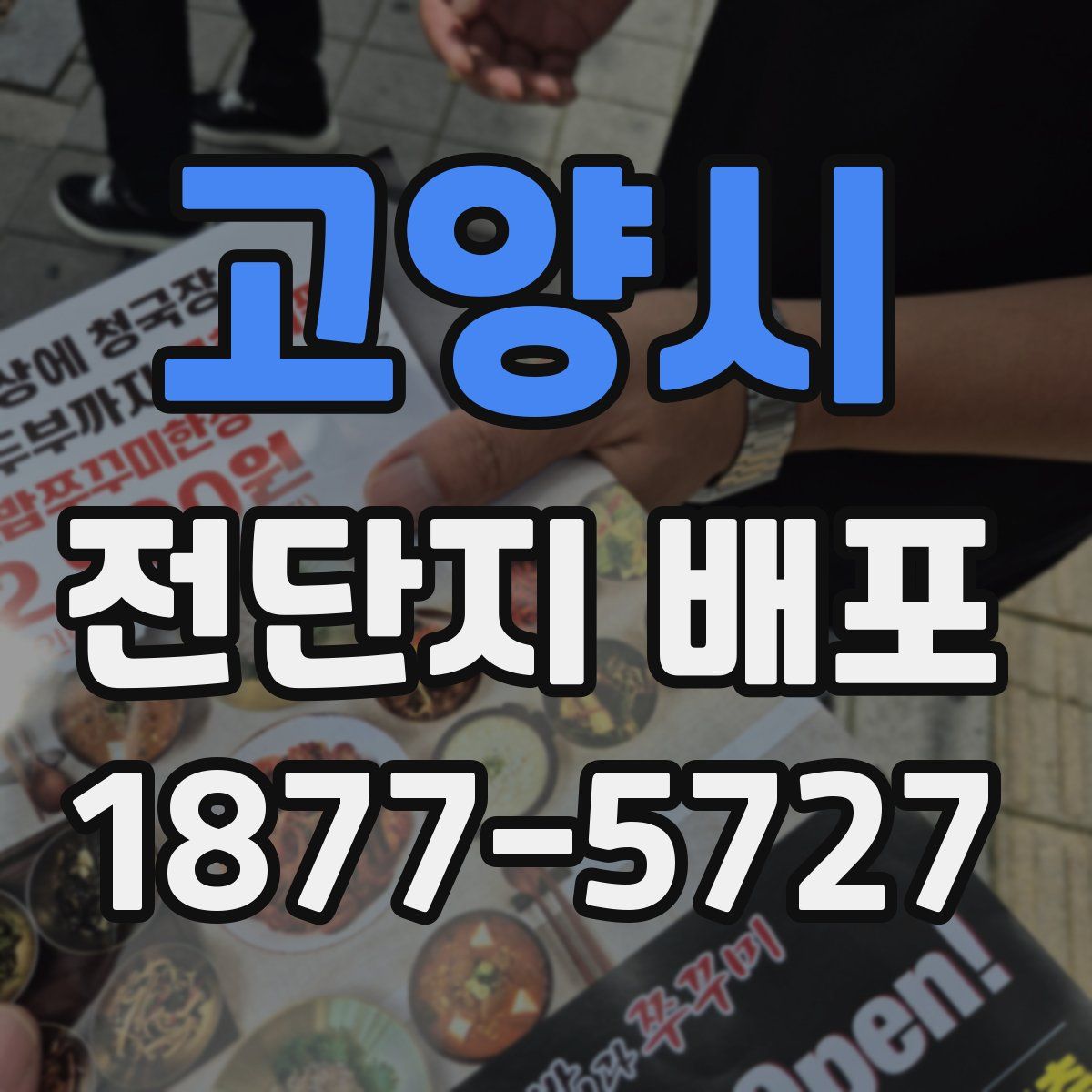 고양시 전단지 배포
