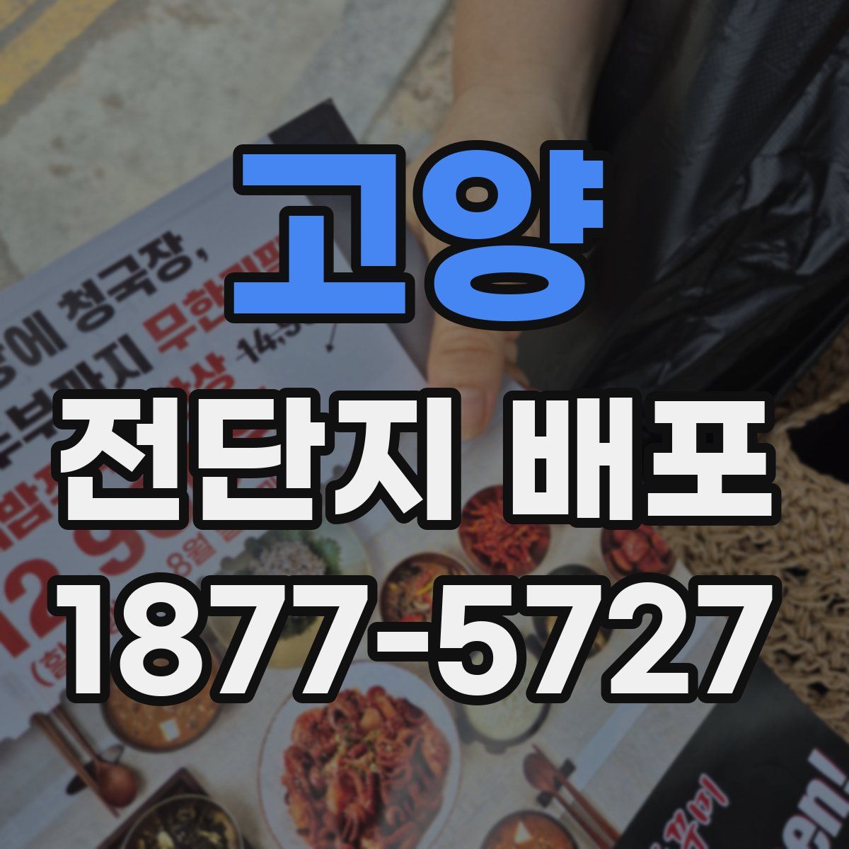 고양 전단지 배포