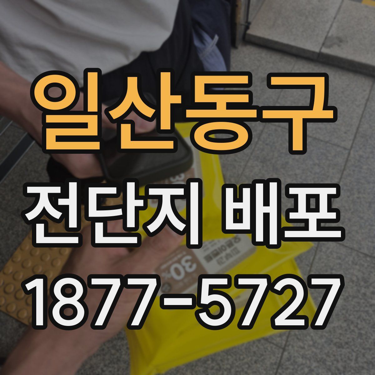 일산동구 전단지 배포
