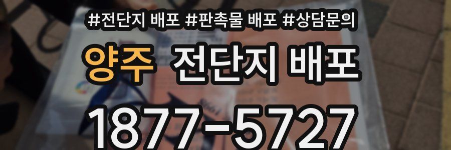양주 전단지 배포