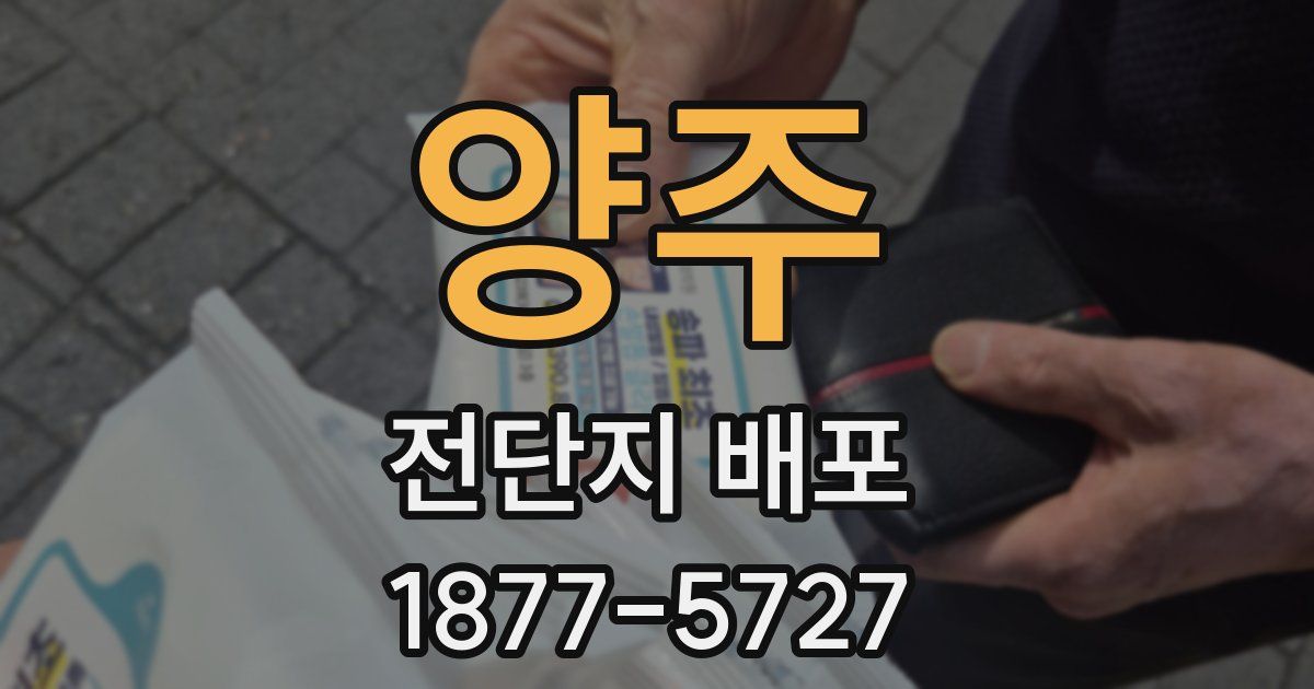 양주 전단지 배포
