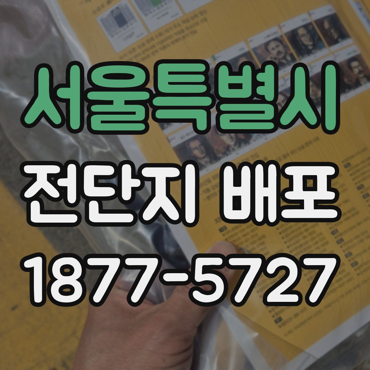 서울특별시 전단지 배포