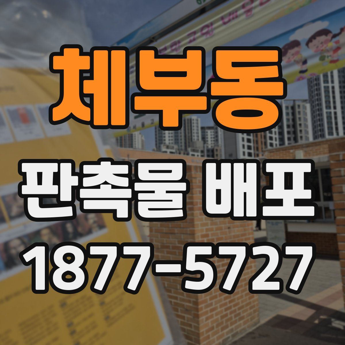체부동 판촉물 배포