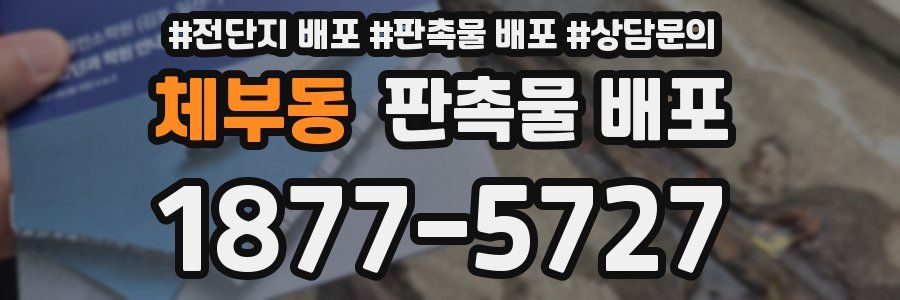 체부동 판촉물 배포