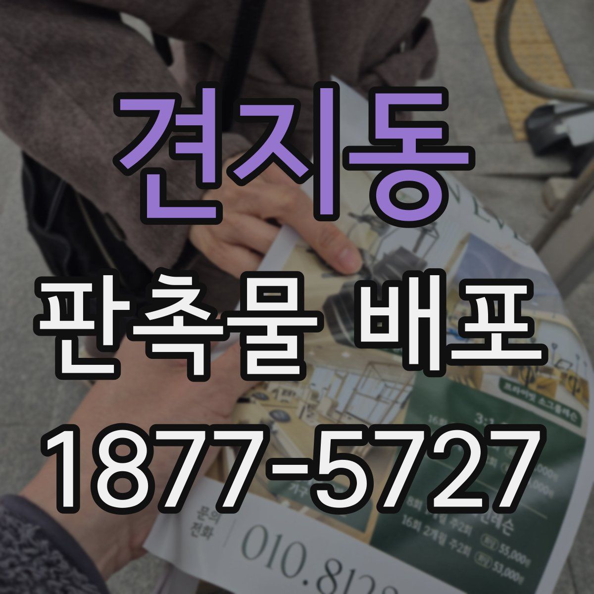 견지동 판촉물 배포