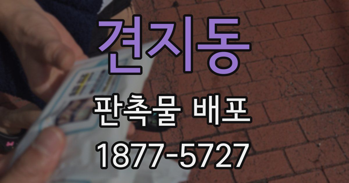 견지동 판촉물 배포