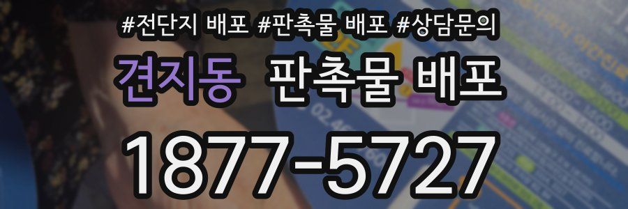 견지동 판촉물 배포
