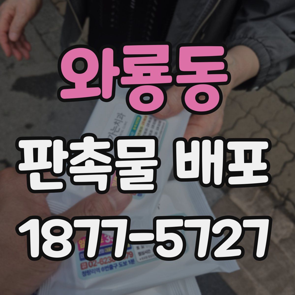 와룡동 판촉물 배포