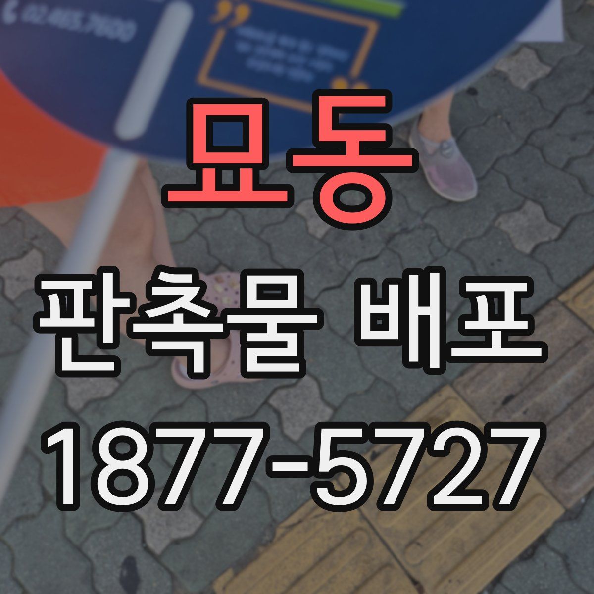 묘동 판촉물 배포