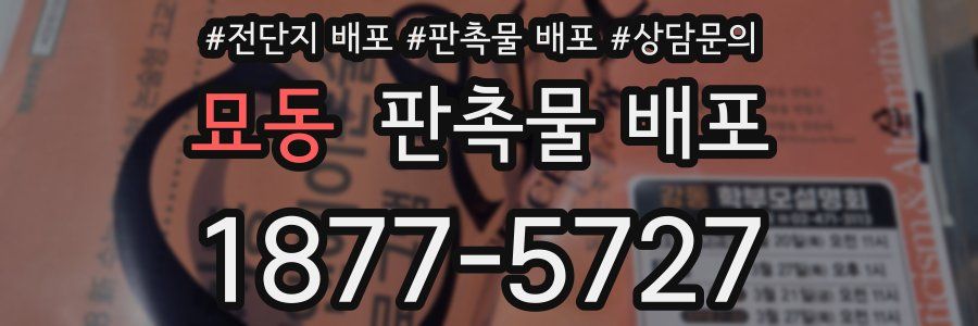 묘동 판촉물 배포